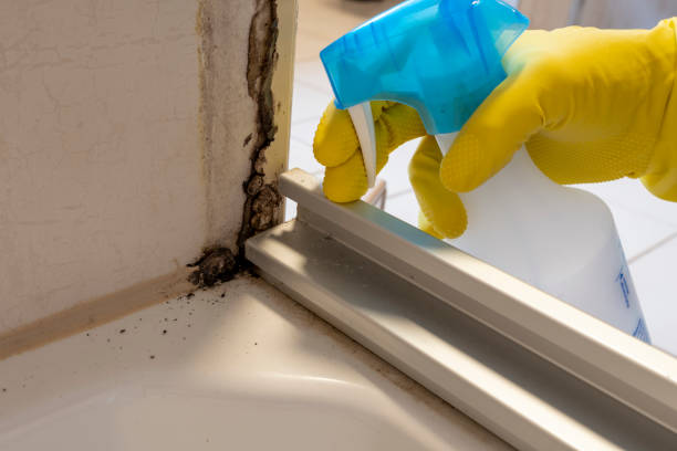 Best Emergency Mold Removal  in Baltic, SD